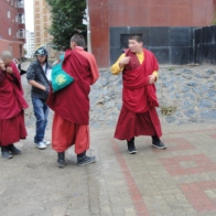 Lama's (monks) on the street